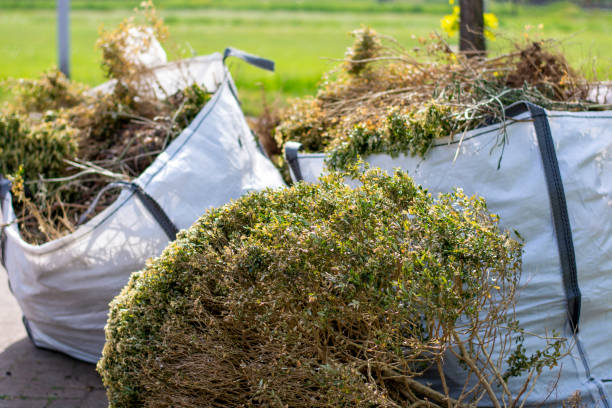Best Same-Day Junk Removal  in De Witt, NY
